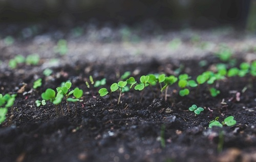 1647239470136066.png image.png