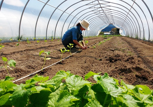 1648448288839479.png image.png