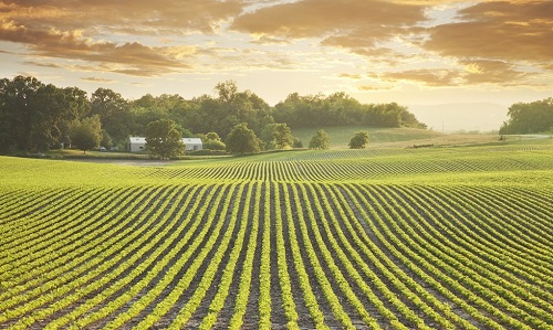 1653620196209733.png image.png