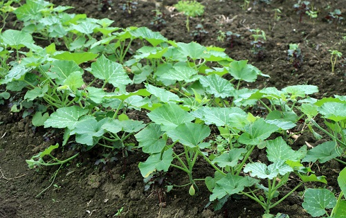 1656901332320555.png image.png