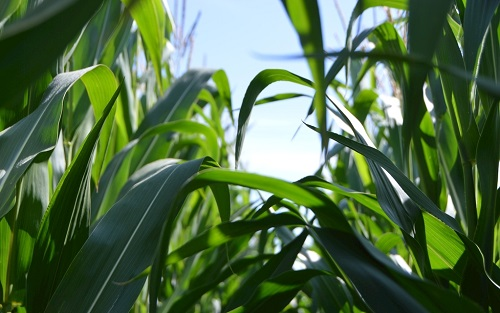 1661829060769596.png image.png