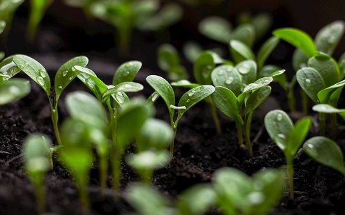 1669708196134922.png image.png