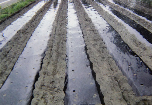 1676616864205089.png image.png