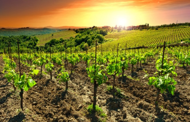 1680760891929105.png 土壤電導(dǎo)率測定儀的工作原理