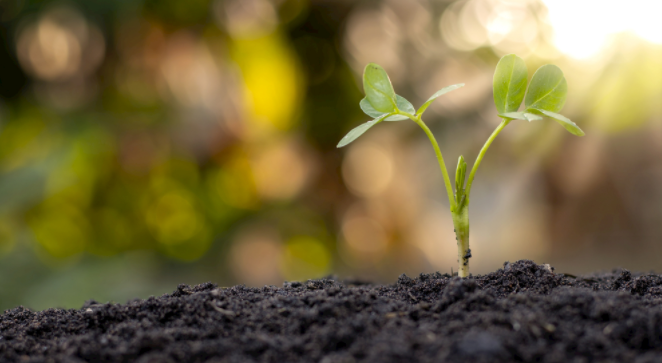 1682302803861999.png 土壤緊實度儀